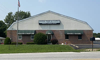 Animal Medical Clinics of Quincy